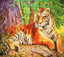 Большой тигр на камне под деревом