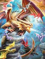 Король драконов в городе драконов