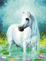 Белая лошадь в красивом озере