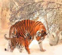 Тигрица с тигрёнком в снежном лесу