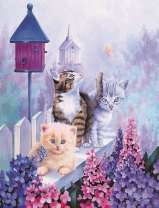 Котята и цвета в тумане