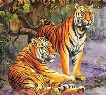 Два тигра под осенним деревом