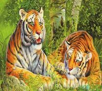 Грозные тигры в летнем лесу