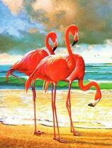 Три фламинго на песчаном берегу моря