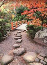 Тропа к мостику