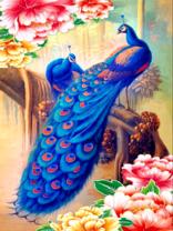 Два насыщено-синих павлина