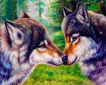 Волчица с волком в летнем лесу