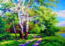 Грунтовая дорога в березовой роще