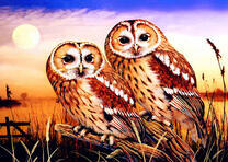 Пара сов на фоне полнолуния и реки