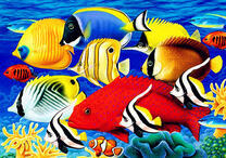 Стая тропических рыбок