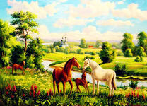 Лошади пасутся на летнем лугу