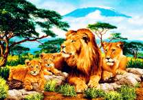 Прайд львов на отдыхе