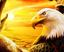 Орел на фоне пустыни