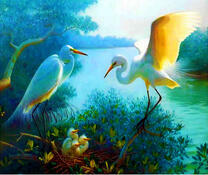 Гнездо аистов у широкой реки