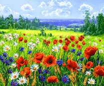 Васильки, ромашки и маки на лугу