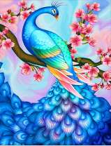 Голубой павлин на цветущей ветке сакуры