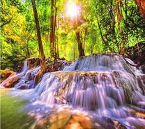 Большой водопад в тенистом лесу