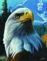 Гордый орлан на фоне снежной горы