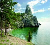 Хвойный лес на берегу озера