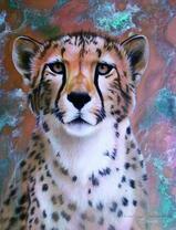 Молодой пушистый ягуар