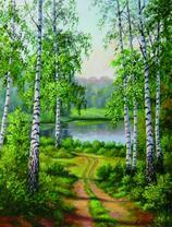 Красивая дорожка к озеру по берёзовой роще