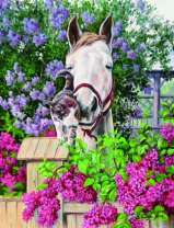 Котенок и лошадь в цветах сирени