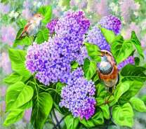 Птичка на кустике цветущей сирени