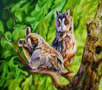 Две совы на летнем дубе