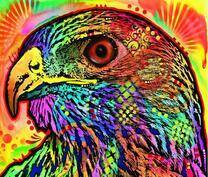 Яркий образ орла