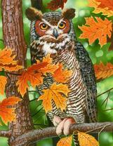 Огромный филин на осеннем дереве
