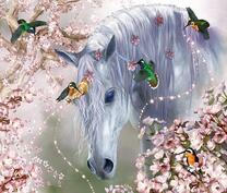 Волшебные птички украшают лошадь