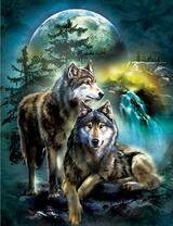 Два волка у ночного водопада