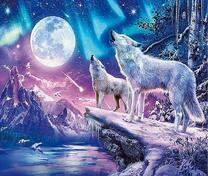 белые волки и северное сияние