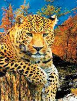 леопард на фоне осеннего леса