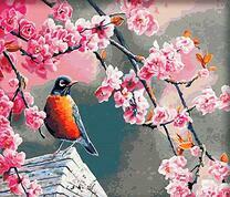 Скворец под цветущей веткой