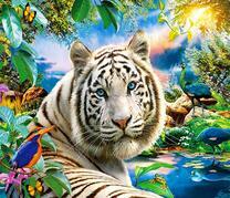 Белый тигр с голубыми глазами у летнего озера