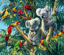 Семья коал и яркие попугаи на дереве