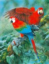 Два ярких ара на ветке в джунглях