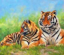 Молодые тигрята на летней травке