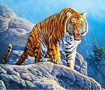 Грозный тигр на туманных скалах