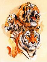 Три ярых тигра