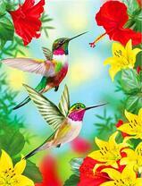 Две колибри возле разноцветных цветов