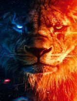 Лев - день-ночь