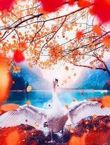 Большой и красивый лебедь на фоне озера