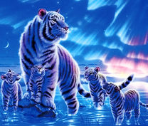 Белый тигр и его детёныши