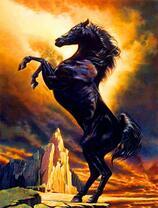 Черный конь среди скал