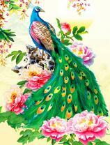 Роскошный павлин на цветущей ветке