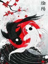 Рыбы инь-янь