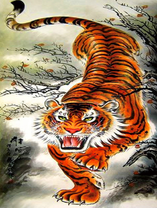 Разъярённый тигр