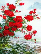 Куст красных роз и ромашки